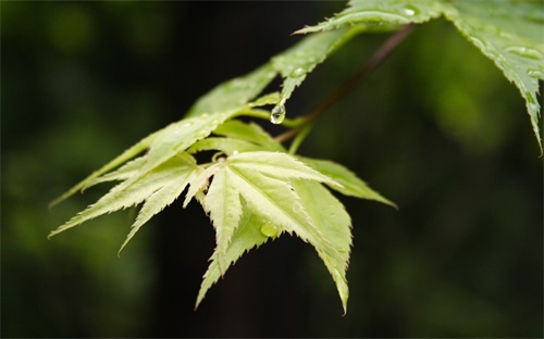 服装理货,货架上的商品要如何保持清洁干净?